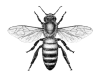 bee 03